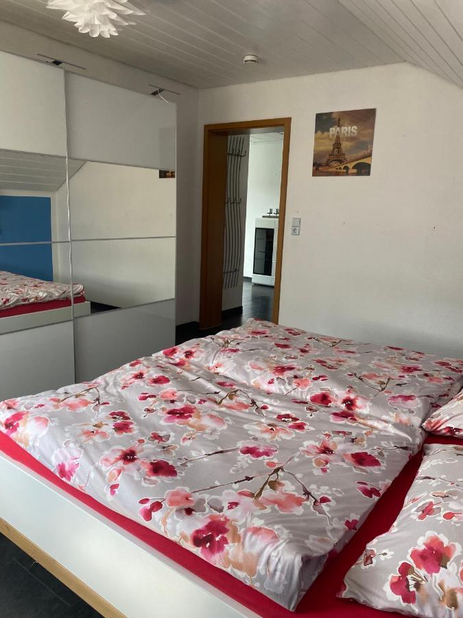 Moderne Ferienwohnung Neckarschleife Mit Klimaanlage Kirchheim am Neckar Esterno foto